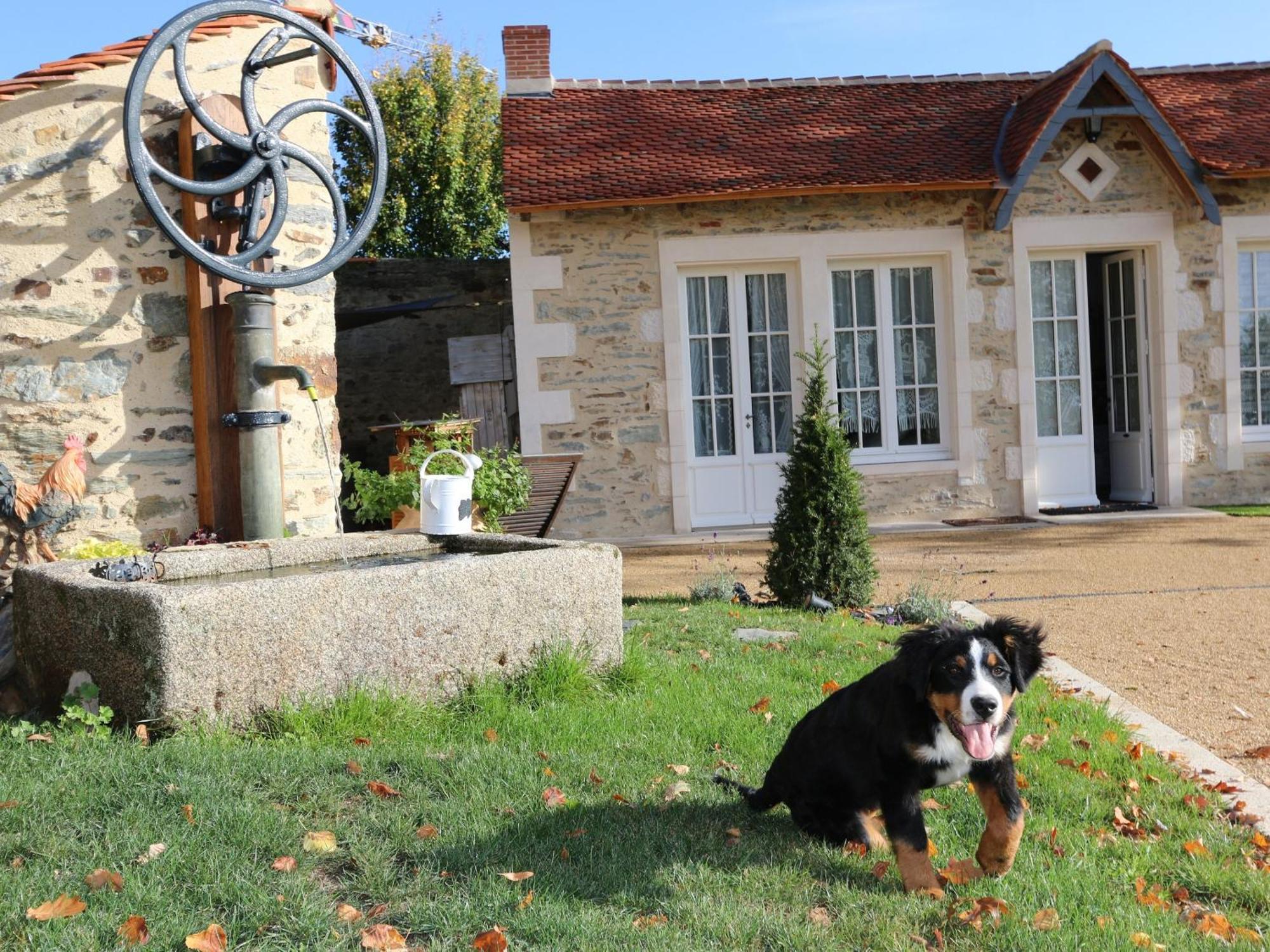 Gite L'Orangerie Βίλα Mouchamps Εξωτερικό φωτογραφία
