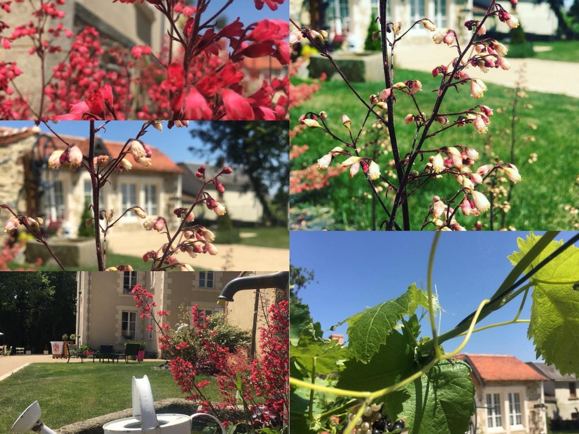 Gite L'Orangerie Βίλα Mouchamps Εξωτερικό φωτογραφία